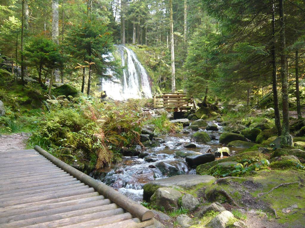 Chalet Luxe 12 Personnes Spa Sauna Vosges-Gerardmer เลอโธลี ภายนอก รูปภาพ