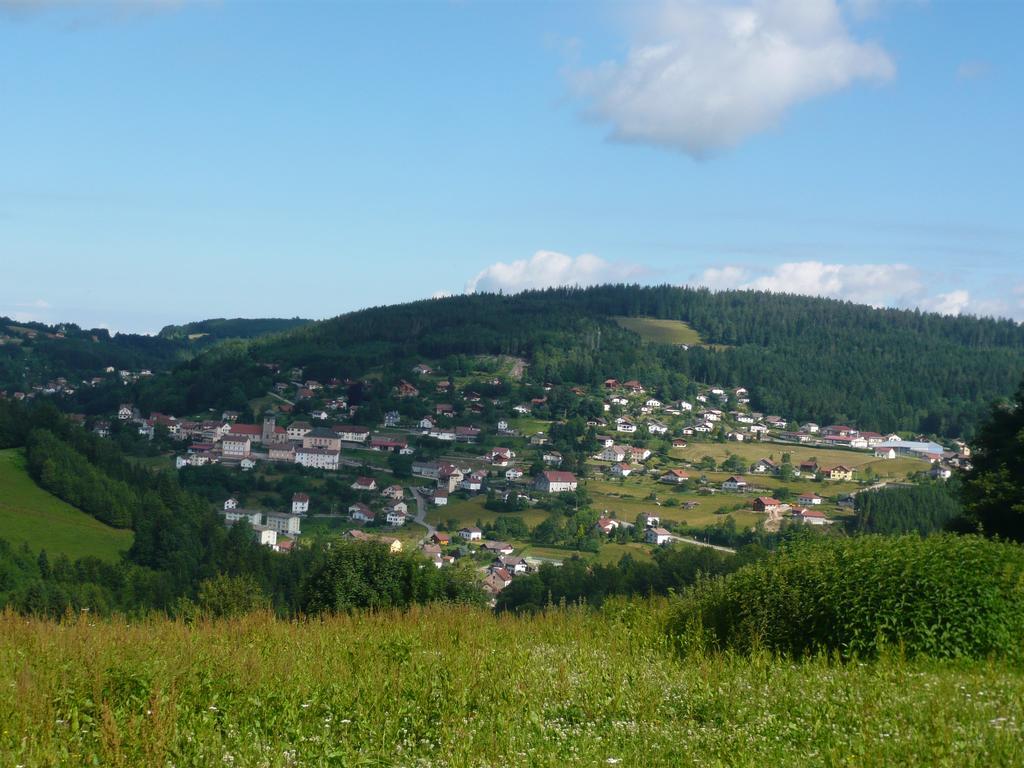 Chalet Luxe 12 Personnes Spa Sauna Vosges-Gerardmer เลอโธลี ภายนอก รูปภาพ