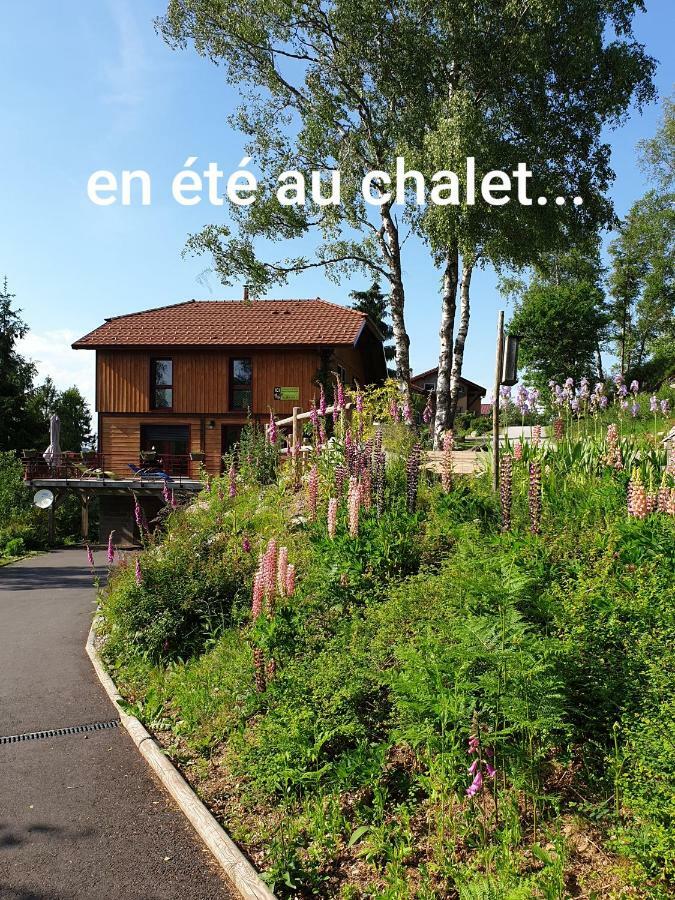 Chalet Luxe 12 Personnes Spa Sauna Vosges-Gerardmer เลอโธลี ภายนอก รูปภาพ